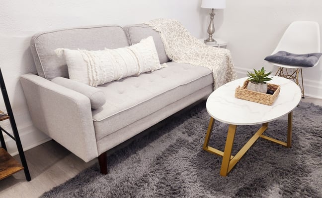 Modern living room with black sofa, white coffee table, TV on wood stand, potted plant, and framed wildlife artwork